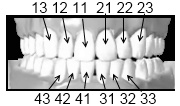 chirurgien dentiste bordeaux denture dentition